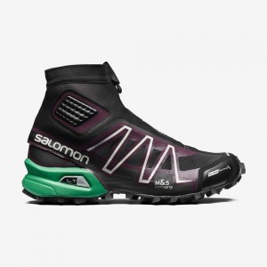 Basket Salomon SNOWCROSS ADVANCED Homme Violette | SLNRC-8613