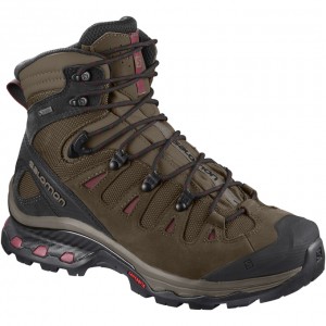 Botte Randonnée Salomon QUEST 4D 3 GTX W Femme Chocolat Noir | DYOKC-7581