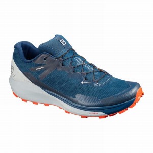 Chaussure Running Salomon SENSE RIDE 3 GTX INVIS. FIT Homme Bleu Marine | EKPIU-1480