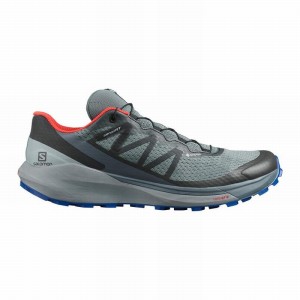 Chaussure Running Salomon SENSE RIDE 4 GORE-TEX INVISIBLE FIT Homme Bleu Foncé Noir | LAMYX-0561