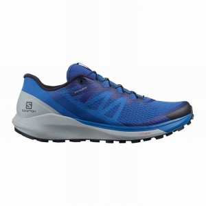 Chaussure Running Salomon SENSE RIDE 4 Homme Bleu | NTGIP-8970