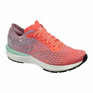 Chaussure Running Salomon SONIC 3 ACCELERATE W Femme Marron Blanche | QIWPV-3172