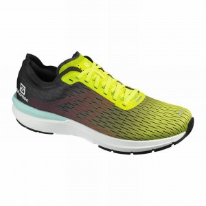 Chaussure Running Salomon SONIC 3 ACCELERATE Homme Jaune Blanche | DGOPB-0196