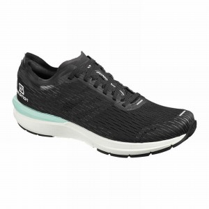 Chaussure Running Salomon SONIC 3 ACCELERATE Homme Noir Blanche | EFVQB-3851