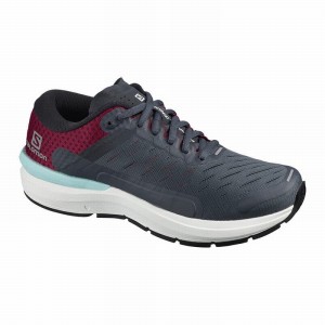 Chaussure Running Salomon SONIC 3 CONFIDENCE W Femme Grise Blanche | MANJH-7584