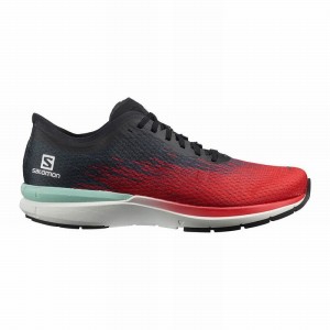 Chaussure Running Salomon SONIC 4 ACCELERATE Homme Blanche Noir | GDPLZ-5987