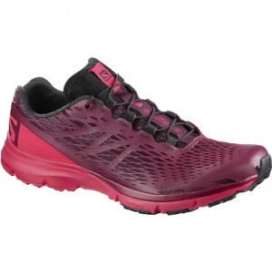 Chaussure Running Salomon XA AMPHIB W Femme Bordeaux | QCSIV-6158