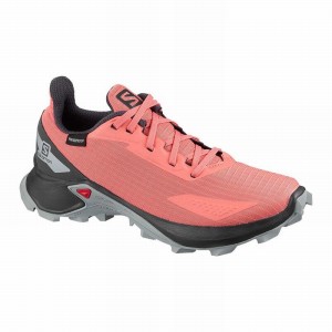 Chaussure Trail Running Salomon ALPHACROSS BLAST CLIMASALOMON WATERPROOF Enfant Corail | HIFBJ-0134