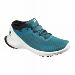 Chaussure Trail Running Salomon SENSE FEEL GTX Homme Bleu | AMXJU-0923