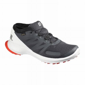 Chaussure Trail Running Salomon SENSE FLOW GTX Homme Noir | MPHCL-1862