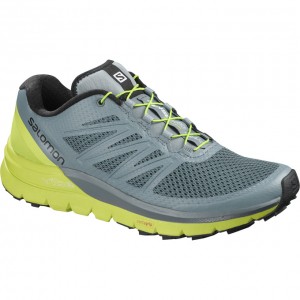 Chaussure Trail Running Salomon SENSE PRO MAX Homme Bleu Vert | HSVCK-5630