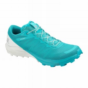 Chaussure Trail Running Salomon SENSE PRO 4 Femme Bleu Blanche | XVUQA-7421