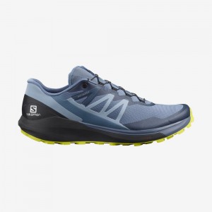 Chaussure Trail Running Salomon SENSE RIDE 4 Homme Bleu Noir | IDTEG-5279