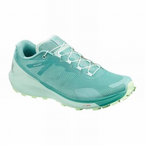 Chaussure Trail Running Salomon SENSE RIDE 3 W Femme Turquoise Vert | LXNFP-1634