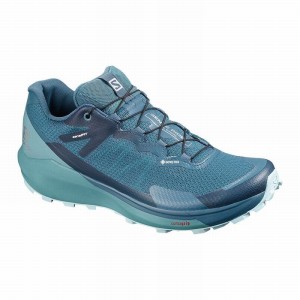 Chaussure Trail Running Salomon SENSE RIDE 3 GTX INVIS. FIT W Femme Turquoise Bleu | HUVTG-3980