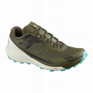 Chaussure Trail Running Salomon SENSE RIDE 3 W Femme Vert Olive | KZQHC-1489