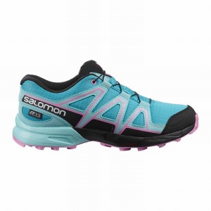 Chaussure Trail Running Salomon SPEEDCROSS CLIMASALOMON WATERPROOF Enfant Bleu Marron Turquoise | MKTQW-8370