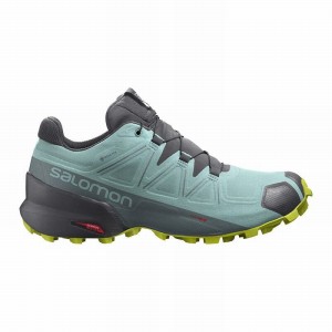 Chaussure Trail Running Salomon SPEEDCROSS 5 GORE-TEX Femme Turquoise Grise Foncé | VLCIT-6591