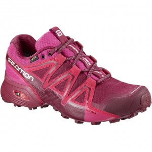 Chaussure Trail Running Salomon SPEEDCROSS VARIO 2 GTX W Femme Rouge Foncé | CWMVT-2305