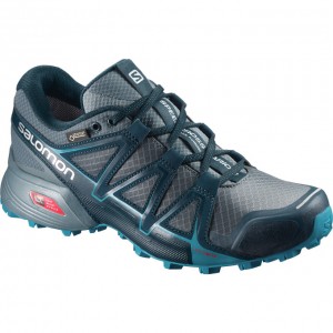 Chaussure Trail Running Salomon SPEEDCROSS VARIO 2 GTX W Femme Argent | QHXYJ-2785