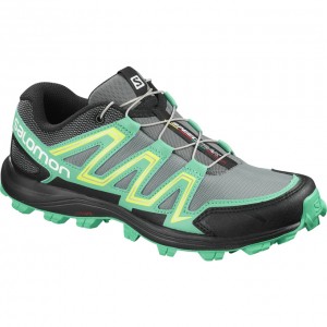 Chaussure Trail Running Salomon SPEEDTRAK W Femme Argent Vert | XAVHQ-0628