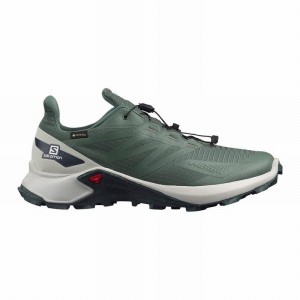 Chaussure Trail Running Salomon SUPERCROSS BLAST GTX Homme Vert | RJPXA-2507