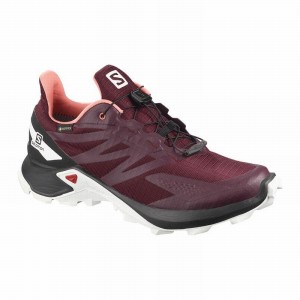 Chaussure Trail Running Salomon SUPERCROSS BLAST GTX W Femme Bordeaux Noir | UEHKC-9614