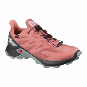 Chaussure Trail Running Salomon SUPERCROSS BLAST GTX W Femme Rouge Foncé | GJPRM-0819