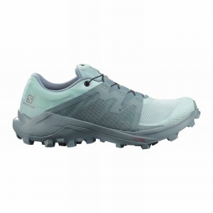 Chaussure Trail Running Salomon WILDCROSS GTX Femme Turquoise Turquoise | SFJPN-2980