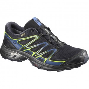 Chaussure Trail Running Salomon WINGS FLYTE 2 GTX Homme Noir | TWGHC-1208