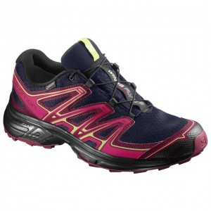 Chaussure Trail Running Salomon WINGS FLYTE 2 GTX W Femme Rose Bleu Marine | ANMPJ-3591