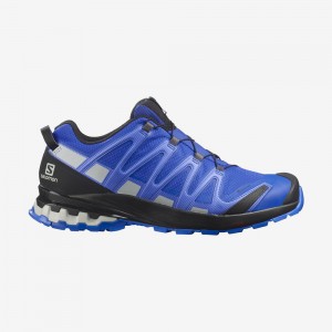 Chaussure Trail Running Salomon XA PRO 3D V8 GORE-TEX Homme Bleu | LXSJR-0812