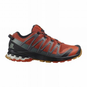 Chaussure Trail Running Salomon XA PRO 3D V8 Homme Noir | CUEHF-8463