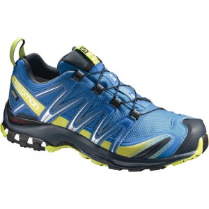 Chaussure Trail Running Salomon XA PRO 3D GTX Homme Bleu | WFCNH-7583