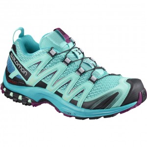 Chaussure Trail Running Salomon XA PRO 3D W Femme Bleu | PLEXH-8259