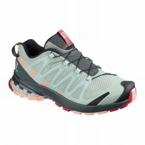 Chaussure Trail Running Salomon XA PRO 3D V8 Femme Turquoise Clair Grise | GBJPD-3578