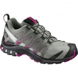 Chaussure Trail Running Salomon XA PRO 3D GTX W Femme Argent | PUAWV-0745