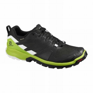 Chaussure Trail Running Salomon XA ROGG GTX Homme Rose | CTWQS-8597