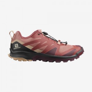 Chaussure Trail Running Salomon XA ROGG Femme Multicolore | NBLRJ-5461