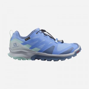 Chaussure Trail Running Salomon XA ROGG GTX W Femme Bleu | GUJWK-8934