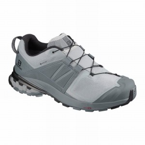 Chaussure Trail Running Salomon XA WILD GORE-TEX Homme Grise | UJGEH-3019