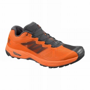 Chaussure Trail Running Salomon X ALPINE /PRO Homme Grise Foncé Orange | XKGZD-0564