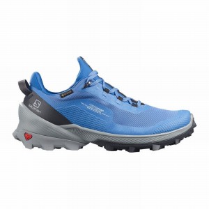 Chaussure de Randonnée Salomon CROSS OVER GORE-TEX Femme Bleu | IOCHT-9802