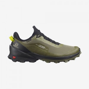 Chaussure de Randonnée Salomon CROSS OVER GTX Homme Vert | XGSMW-2716