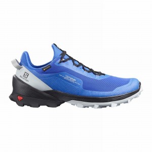 Chaussure de Randonnée Salomon CROSS OVER GORE-TEX Homme Bleu Noir | AEUVG-6895