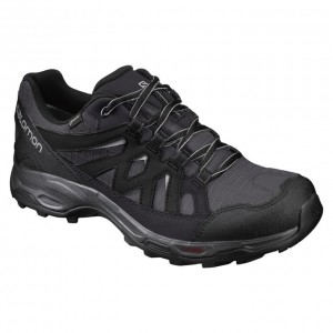 Chaussure de Randonnée Salomon EFFECT GTX Homme Noir | MLDUX-1405