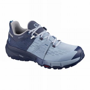 Chaussure de Randonnée Salomon ODYSSEY GTX W Femme Bleu | BIWTM-9015