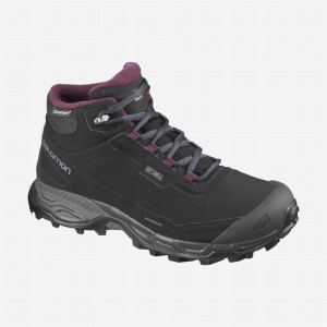 Chaussure de Randonnée Salomon SHELTER SPIKES CLIMASALOMON WATERPROOF Femme Noir | CHFXP-3610