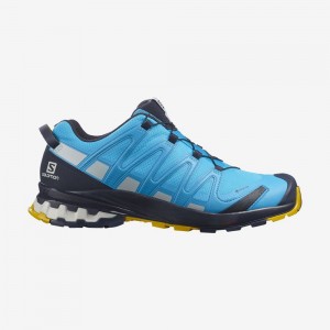 Chaussure de Randonnée Salomon XA PRO 3D V8 GORE-TEX Homme Bleu | OPCGK-0715