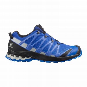 Chaussure de Randonnée Salomon XA PRO 3D V8 GORE-TEX Homme Noir Bleu | MSCEP-9436